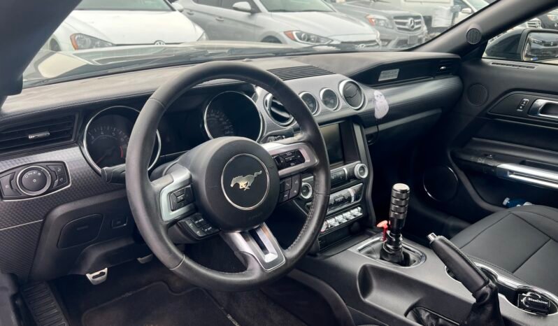 
								2015 Ford Mustang EcoBoost Coupe RWD full									