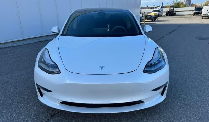 
								2019 Tesla Model 3 Standard Plus full									