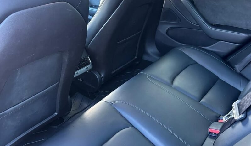 
								2019 Tesla Model 3 Standard Plus full									