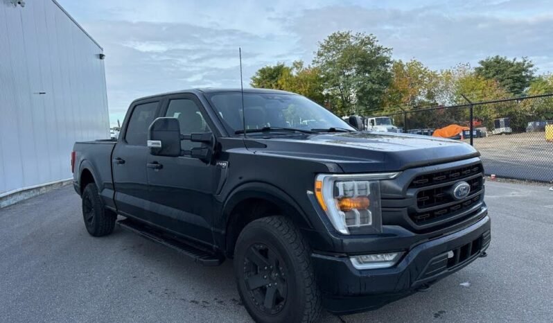 
								2021 Ford F-150 XLT SuperCrew 4WD full									