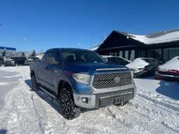 
										2018 Toyota Tundra SR5 Double Cab 5.7L 4WD full									