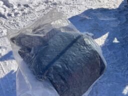 
										2011 Volkswagen Golf GTI full									