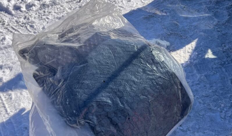 
								2011 Volkswagen Golf GTI full									