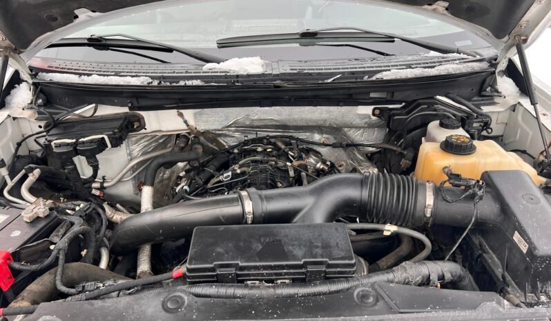 
								2013 Ford F-150 FX4 SuperCab 4WD full									