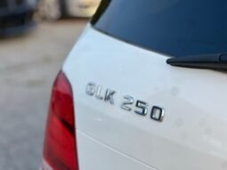 
										2014 Mercedes-Benz GLK-Class GLK 250 BlueTec full									