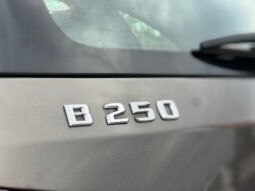 
										2014 Mercedes-Benz B-Class B 250 Sports Tourer full									